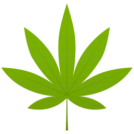 Dispensary in Austin TX | TerpHaus