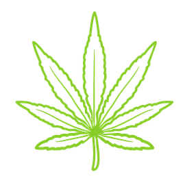 Dispensary in Austin TX | TerpHaus